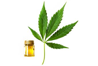 huile de chanvre dans l'huile de cannabis